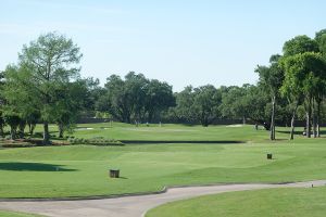 Braeburn 7th